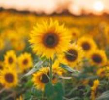 GettyImages-MHAmain crop1-1347472451